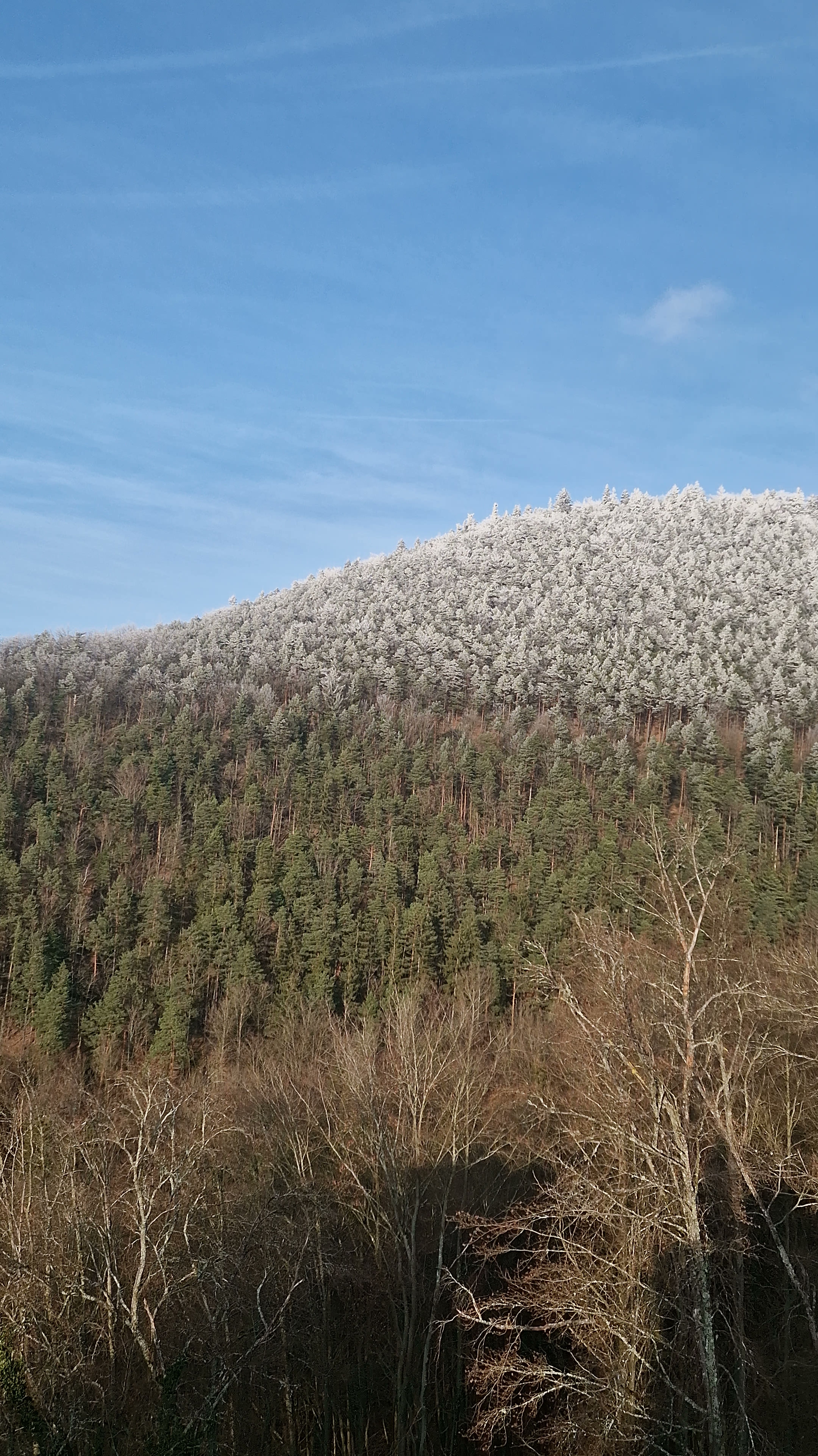 Photo n° 13 de l'avis de Beno. fait le 14/01/2024 à 20:33