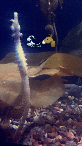 Tropical Fish Store «Cincinnati Aquarium Design», reviews and photos, 6475 E Galbraith Rd # B, Cincinnati, OH 45236, USA