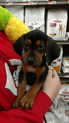 Pet Supply Store «Pet Supplies Plus», reviews and photos, 1810 Declaration Dr, Independence, KY 41051, USA