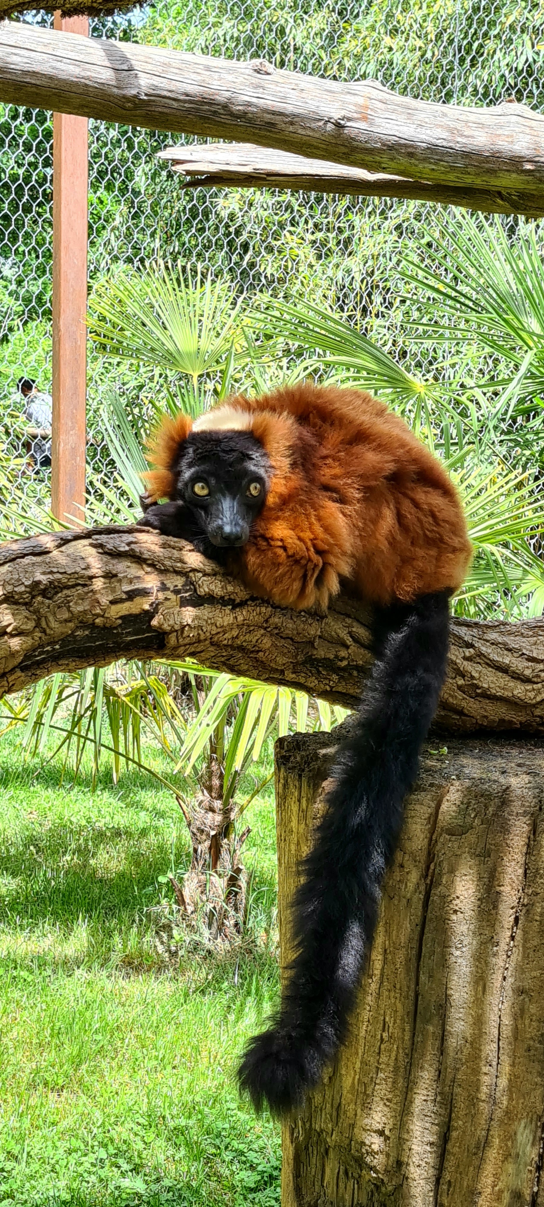 Photo n° 2 de l'avis de Phany.u fait le 12/05/2023 à 19:35