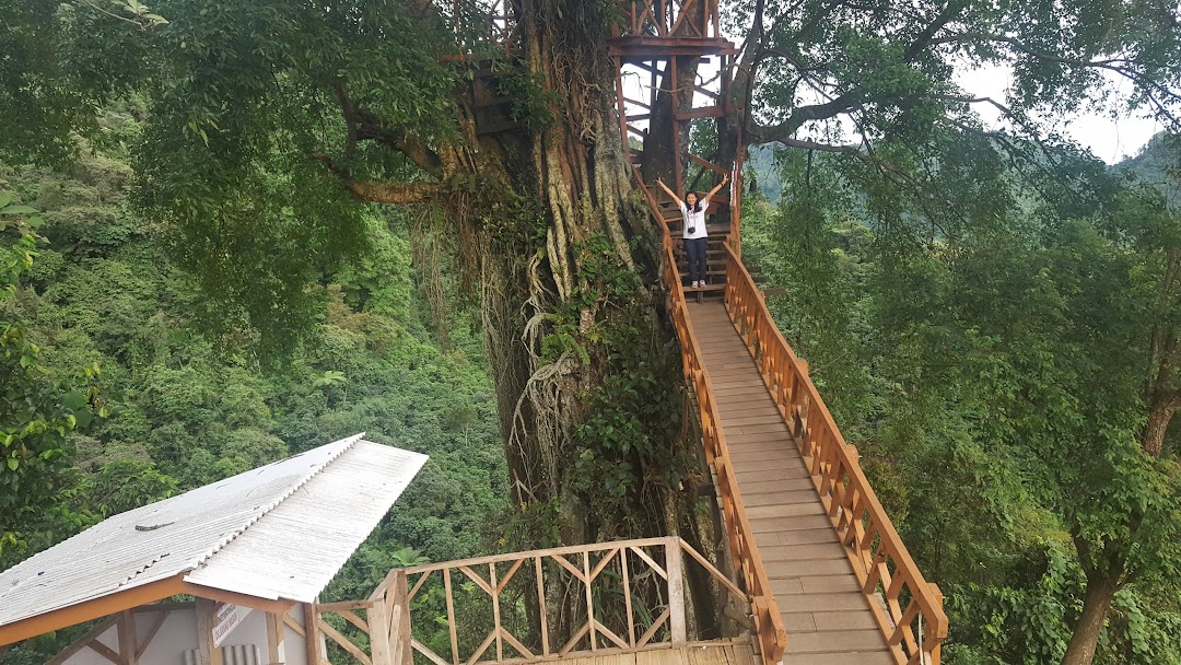 Rumah Pohon Curug Ciherang