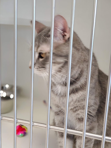 Pet Supply Store «Natural Pet Center», reviews and photos, 3037 13th Ave S, Fargo, ND 58103, USA