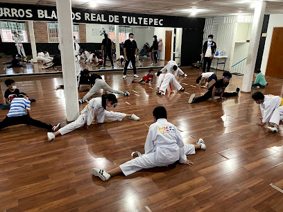 TKD BURROS BLANCOS REAL DE TULTEPEC