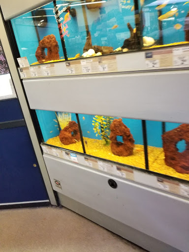 Pet Supply Store «Petco Animal Supplies», reviews and photos, 545 W Prien Lake Rd, Lake Charles, LA 70601, USA