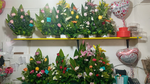 Florería y Regalos Lesly florería en  en la zona 23437 San José del Cabo, B.C.S.