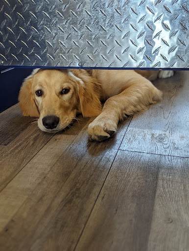 Pet Store «Healthy Pets Mountain West», reviews and photos, 2352 Fort Union Blvd, Cottonwood Heights, UT 84121, USA