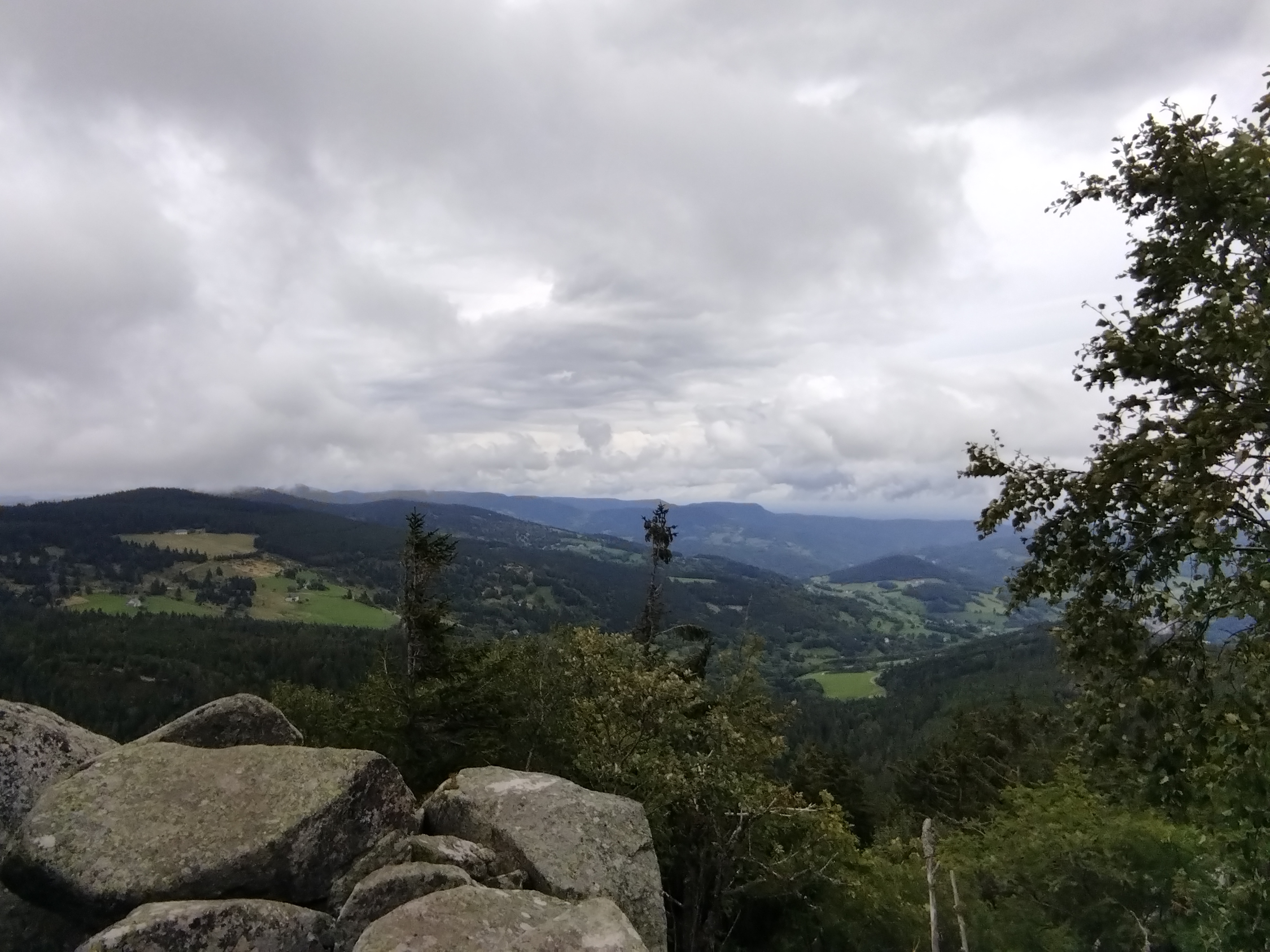 Photo n° 2 de l'avis de MM.u fait le 27/08/2023 à 14:16