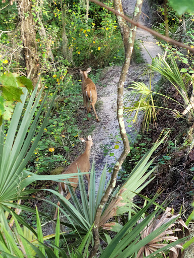 Park «Alafia River State Park», reviews and photos, 14326 S County Rd 39, Lithia, FL 33547, USA