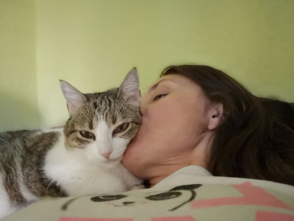 Imagen de Centro Veterinario Kissy (5 de 10)