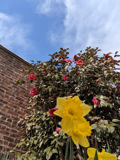 Auto Body Shop «Auto Pro Collision», reviews and photos, 65 Grasmere Ave, Staten Island, NY 10305, USA