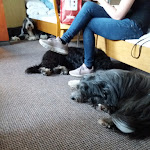 Photo n°1 de l'avis de heinke. fait le 04/06/2019 à 09:48 sur le  Hotel Erfurter Kreuz à Kirchheim