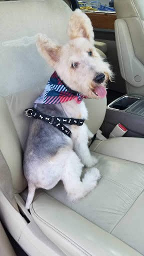 Pet Supply Store «PetSmart», reviews and photos, 5810 Antioch Rd, Merriam, KS 66202, USA