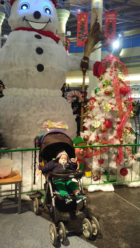 Shopping Mall «Chapel Hill Mall», reviews and photos, 2000 Brittain Rd, Akron, OH 44310, USA