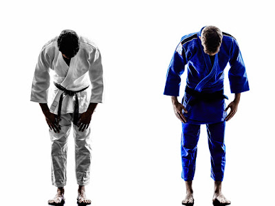 Dojo Raphelois à Arles