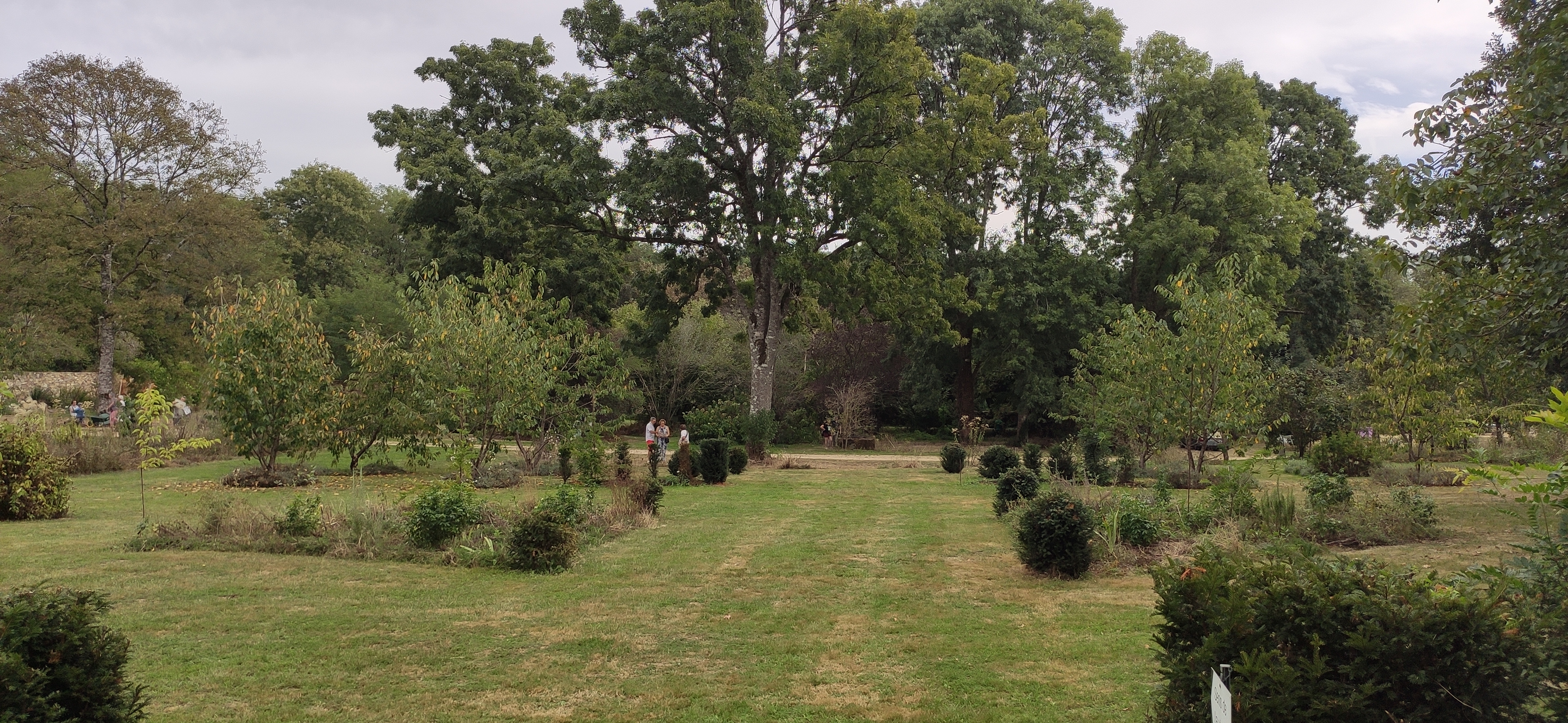 Photo n° 11 de l'avis de Pierre-Henry.O fait le 29/09/2023 à 05:19