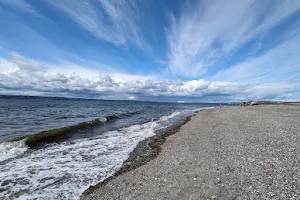 Off Leash Area Edmonds image