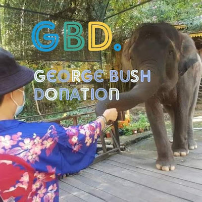 GBD. George Bush Donations.