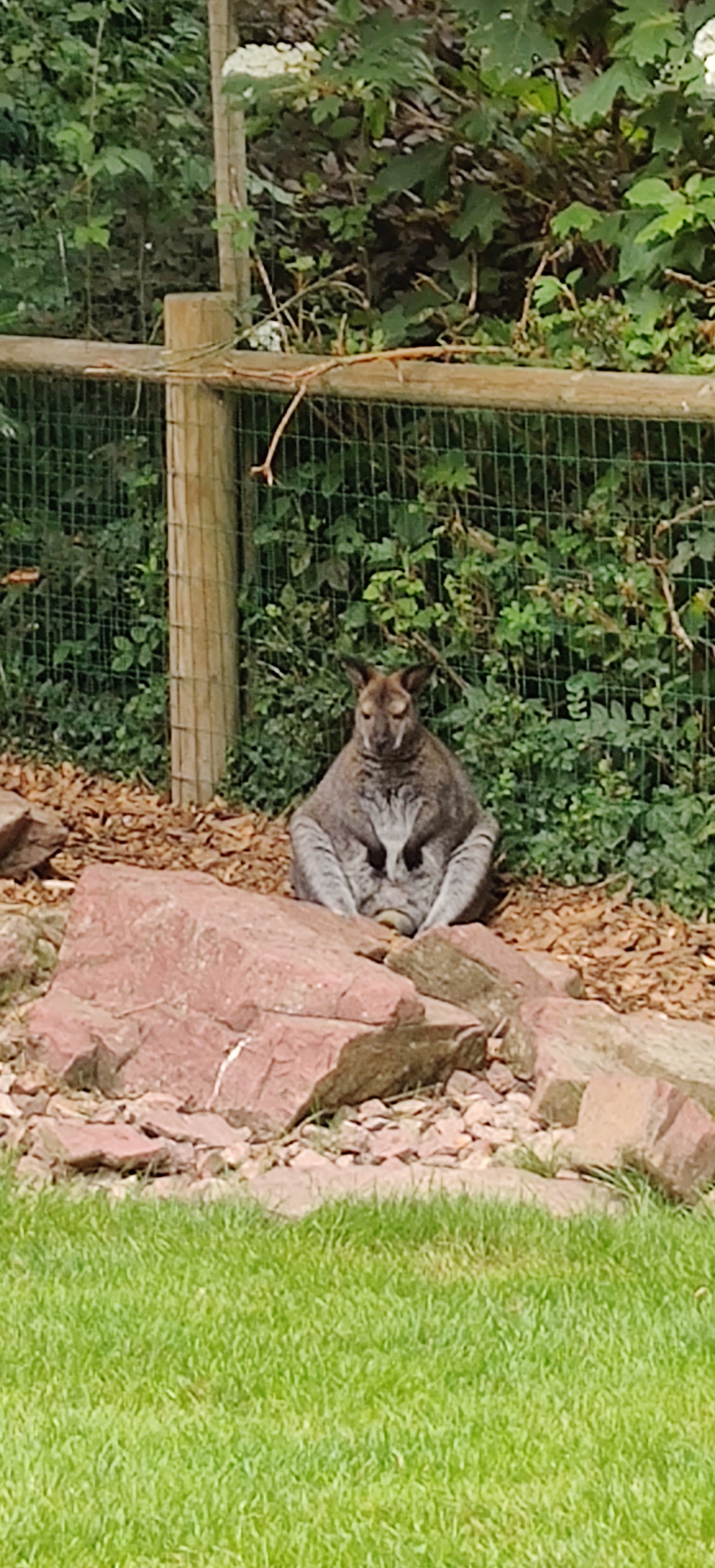 Photo n° 4 de l'avis de Maxime.o fait le 17/07/2019 à 19:11