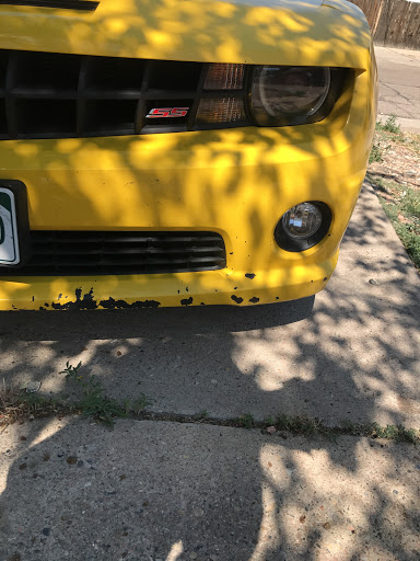 Auto Body Shop «Maaco Collision Repair & Auto Painting», reviews and photos, 1901 Leroy Dr d, Northglenn, CO 80233, USA