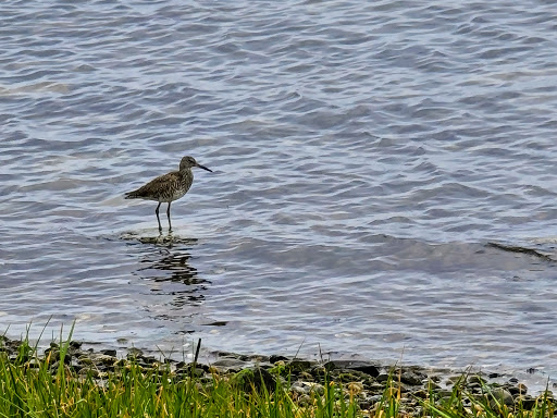 Educational Institution «The Audubon Society of Rhode Island Environmental Education Center», reviews and photos, 1401 Hope St, Bristol, RI 02809, USA