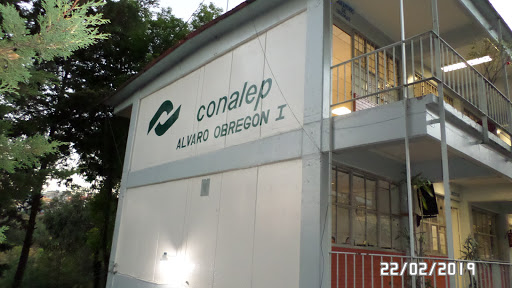 Conalep Alvaro Obregon l