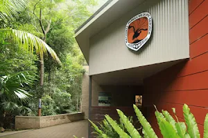 Minnamurra Rainforest Centre image