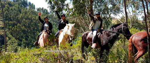 Horseback Riding Cusco _ Equestrian Experiences in Cusco Perú