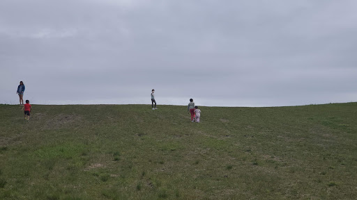 Park «Dr. Martin Luther King Jr. Park», reviews and photos, 42 N Farnsworth Ave, Aurora, IL 60505, USA