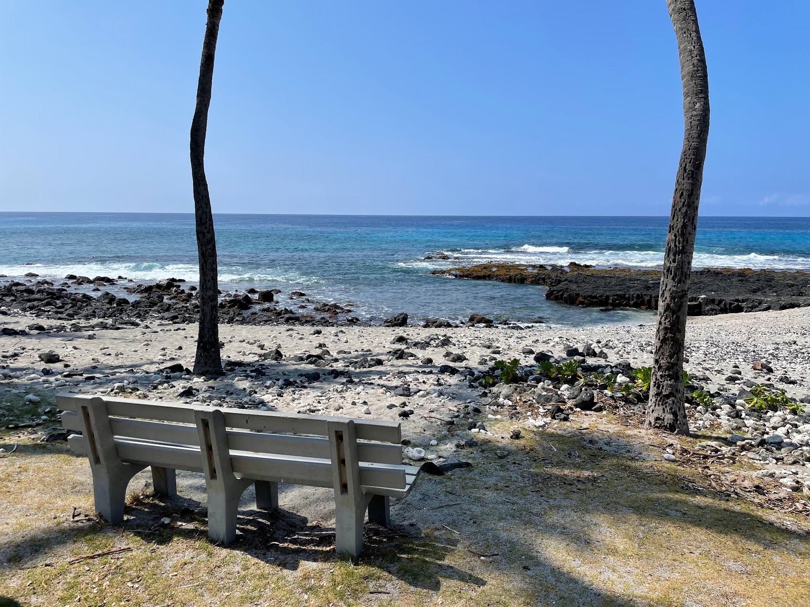 Pahoehoe Beach'in fotoğrafı çok temiz temizlik seviyesi ile