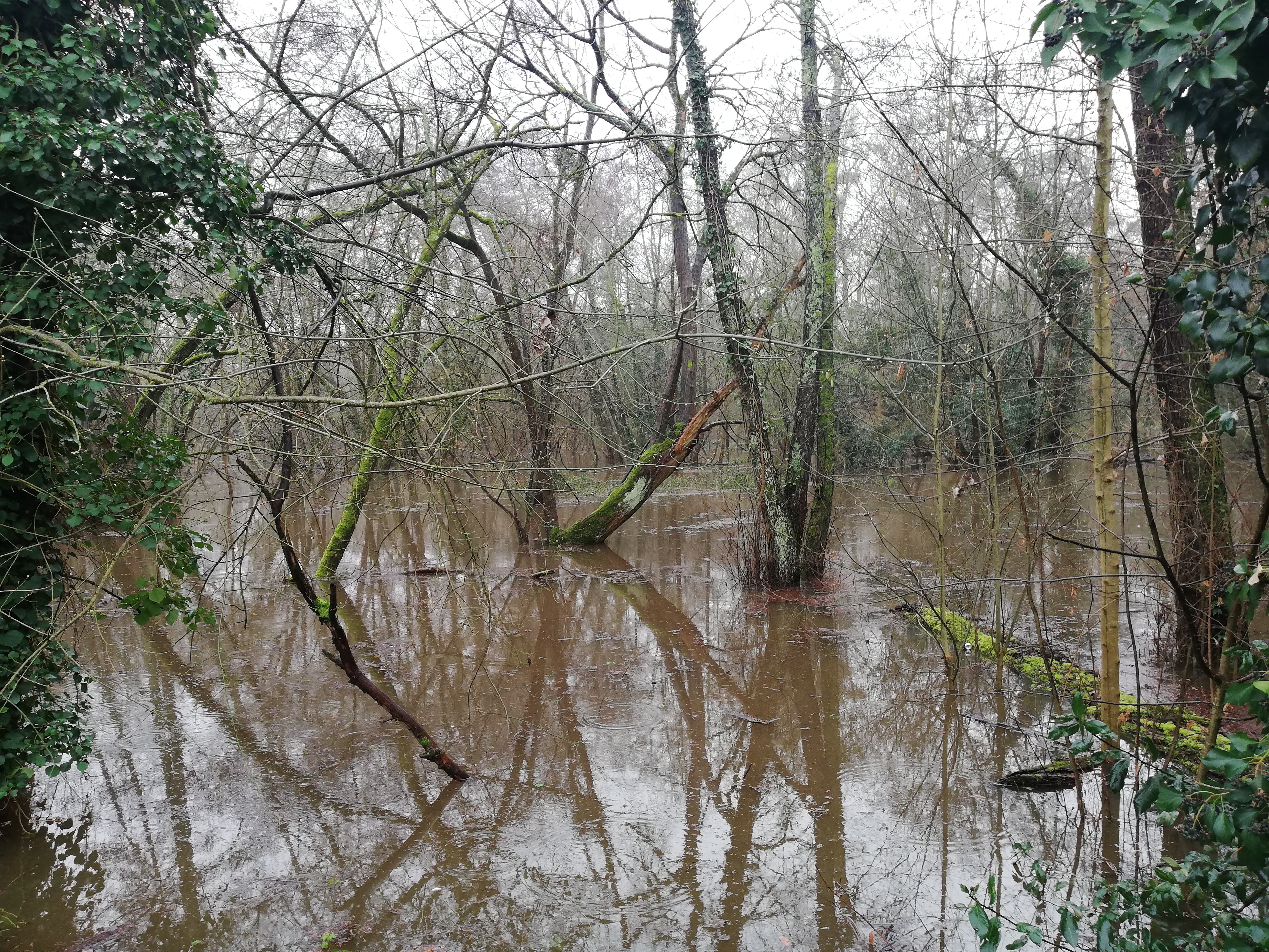 Photo n° 2 de l'avis de Olivier.i fait le 05/02/2021 à 20:52