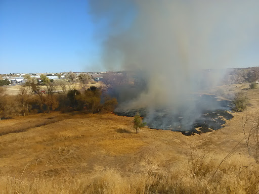 Nature Preserve «Bluff Lake Nature Center», reviews and photos, 3400 Havana Way, Denver, CO 80238, USA