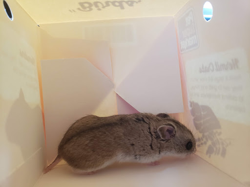 Pet Supply Store «Pet Supermarket», reviews and photos, 1746 E Silver Springs Blvd, Ocala, FL 34470, USA