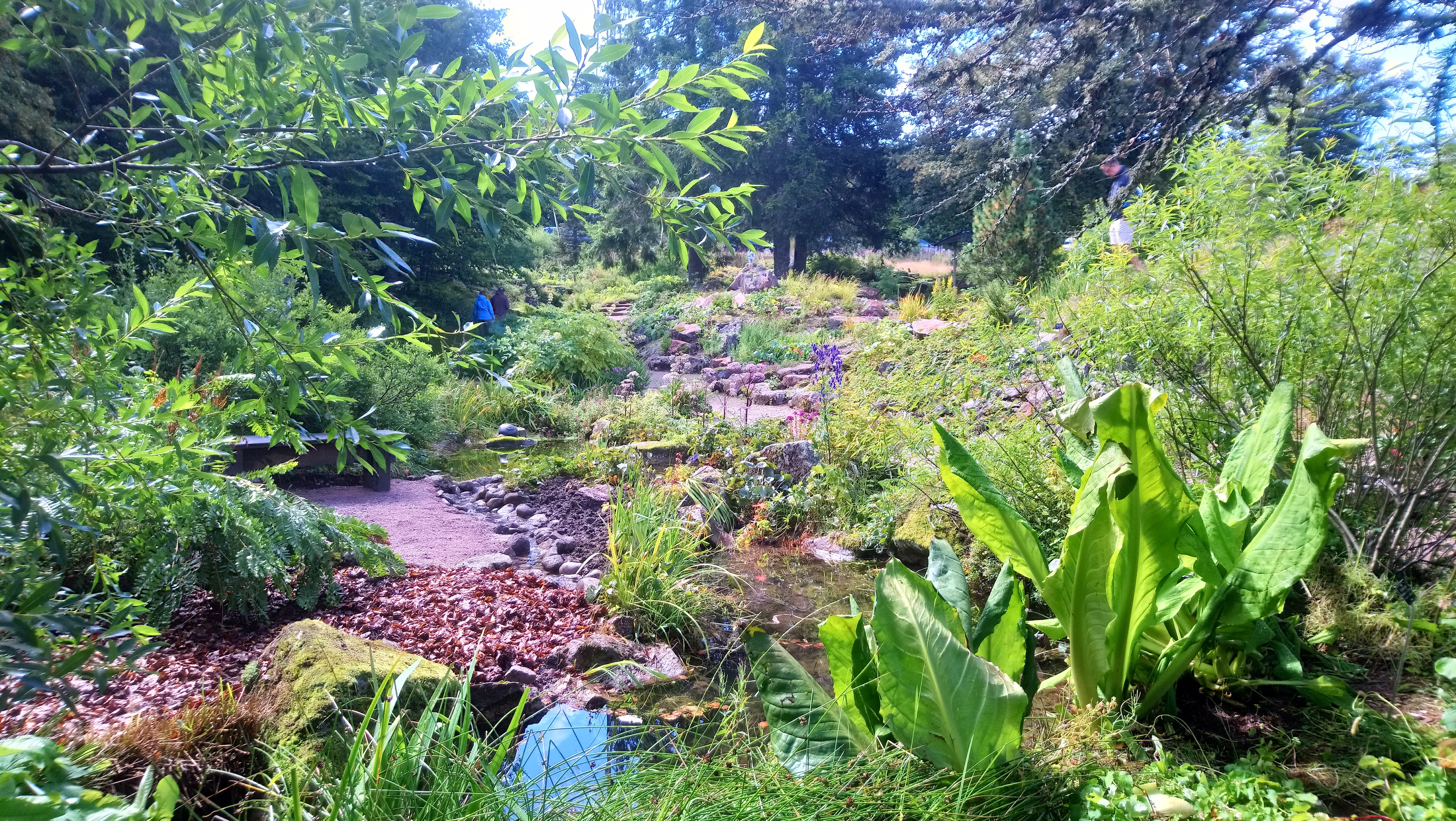 Photo n° 1 de l'avis de Isabelle.. fait le 13/08/2023 à 17:01