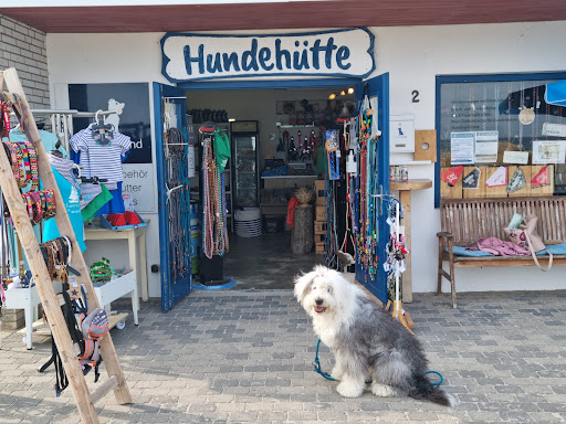 OSTSEEHUND unter Kellenhusen, 