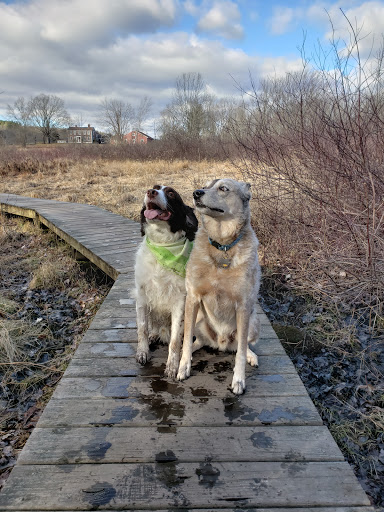 Park «Carney Park», reviews and photos, 386 W Main St, Northborough, MA 01532, USA