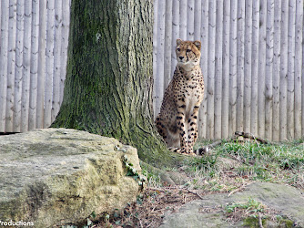 Philadelphia Zoo