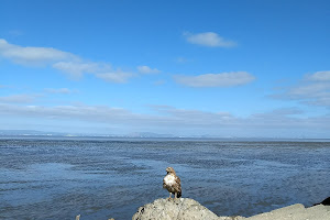 Hayward Regional Shoreline