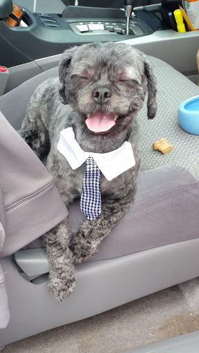 Pet Supply Store «Petco Animal Supplies», reviews and photos, 18578 Coastal Hwy #12, Rehoboth Beach, DE 19971, USA