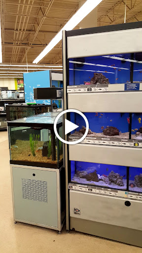 Pet Supply Store «Petco Animal Supplies», reviews and photos, 635 Cibolo Valley Drive #149, Cibolo, TX 78108, USA