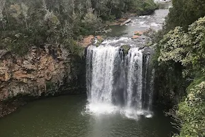 Dangar Falls image