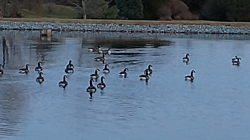 Lodge «The Lodge at Liberty Forge», reviews and photos, 3804 Lisburn Rd, Mechanicsburg, PA 17055, USA