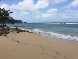 Playa Privada Caribe'in fotoğrafı geniş ile birlikte