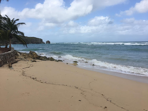 Playa Privada Caribe photo #2