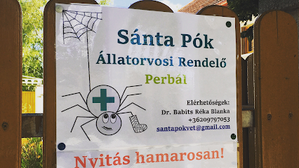 Sánta Pók Állatorvosi Rendelő- Perbál