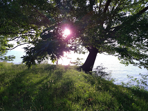 Park «Gratiot Park», reviews and photos, NY-5 & Point Dr W, Dunkirk, NY 14048, USA