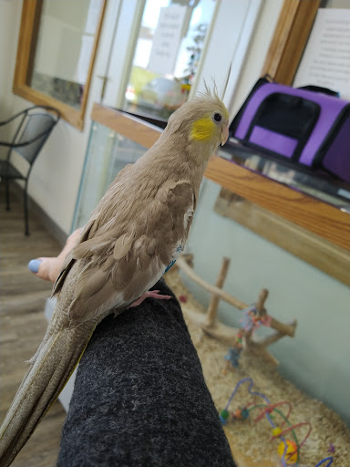 Bird Shop «Wholesale Bird & Cage LLC», reviews and photos, 1805 Ford Ln, St Charles, MO 63303, USA