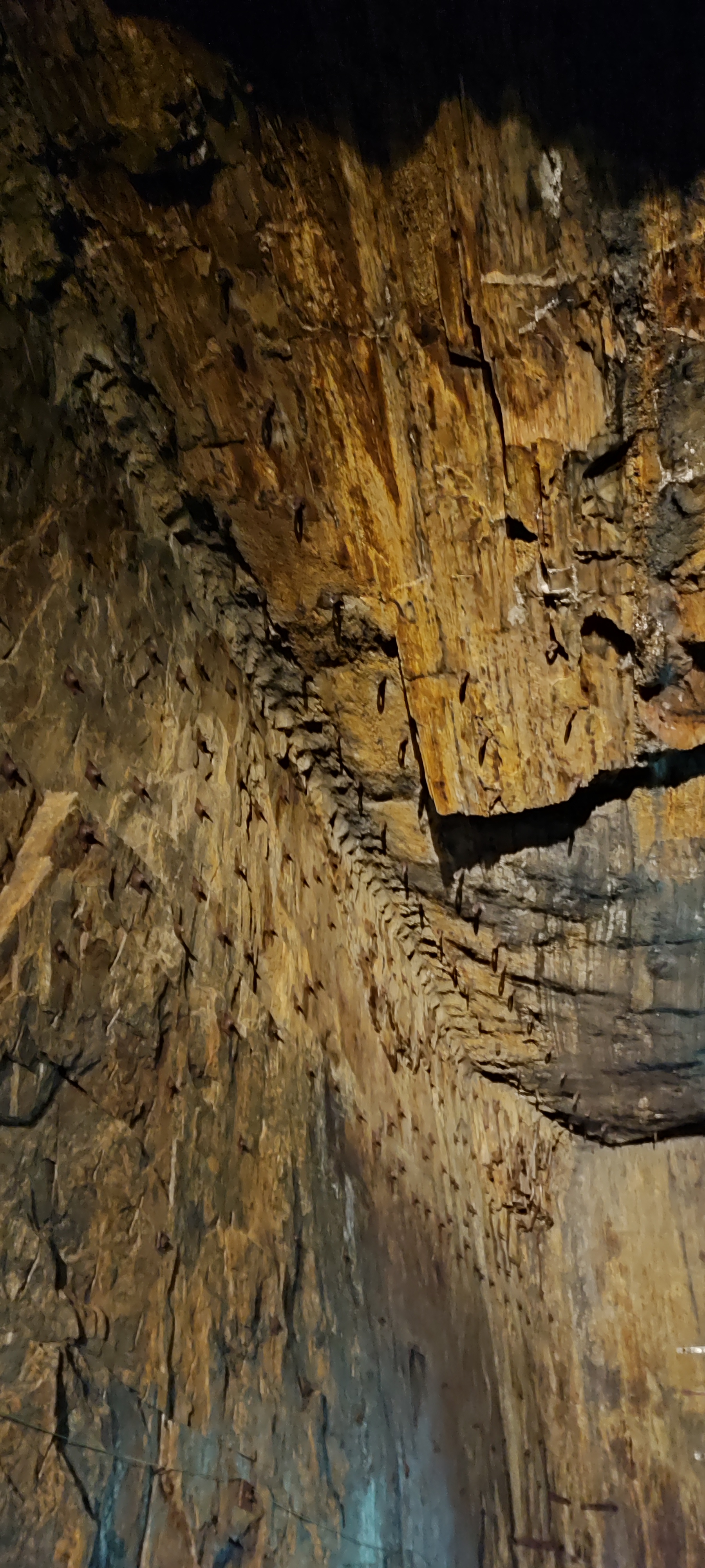 Photo n° 5 de l'avis de David.a fait le 03/08/2023 à 22:48