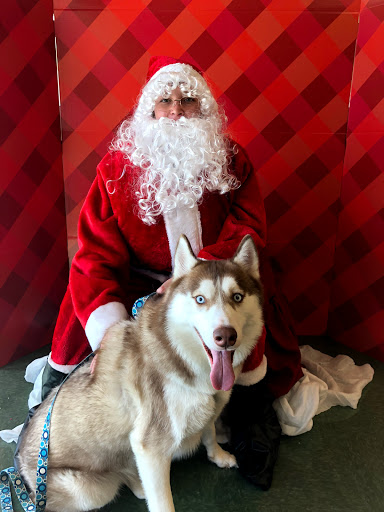 Pet Supply Store «Petco Animal Supplies», reviews and photos, 30697 US Hwy 19 N, Palm Harbor, FL 34684, USA