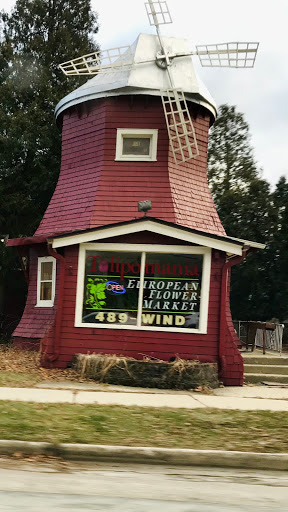 Florist «Tulipomania LLC», reviews and photos, 319 E Howard Ave, Milwaukee, WI 53207, USA