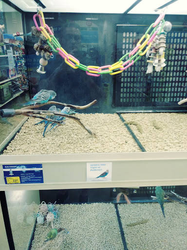 Pet Supply Store «PetSmart», reviews and photos, 1345 Wendy Ct, Spring Hill, FL 34607, USA